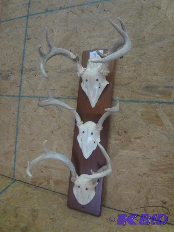 3-Piece Whitetail Mount...
