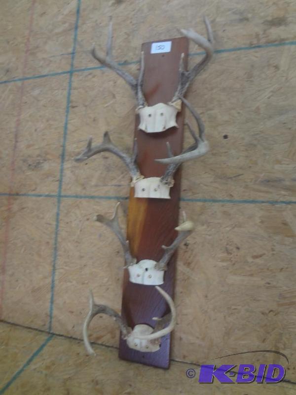 4-Piece Whitetail Mount...