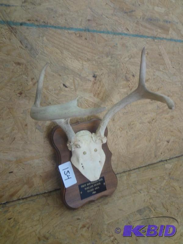 6-Point Whitetail Antler Mount...