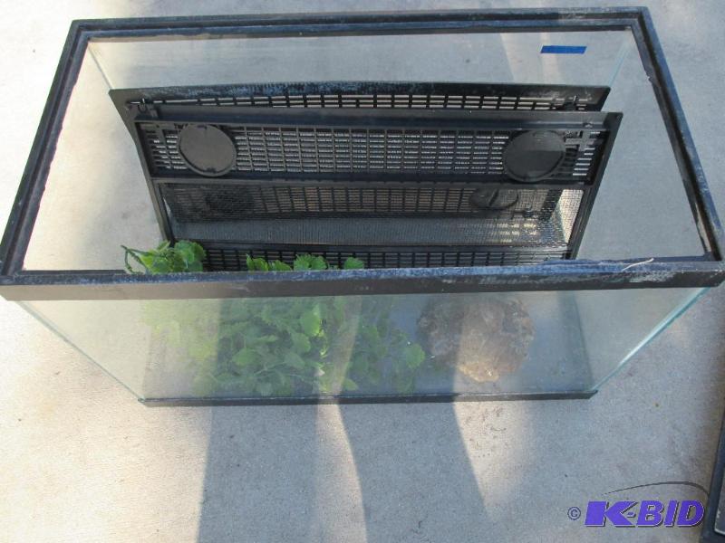 lot 111 image: 10 gallon aquarium with small rock and weed...