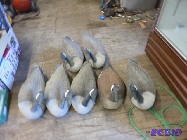 lot 20 image: 7 Geese Decoys 6 floaters and 1 field....