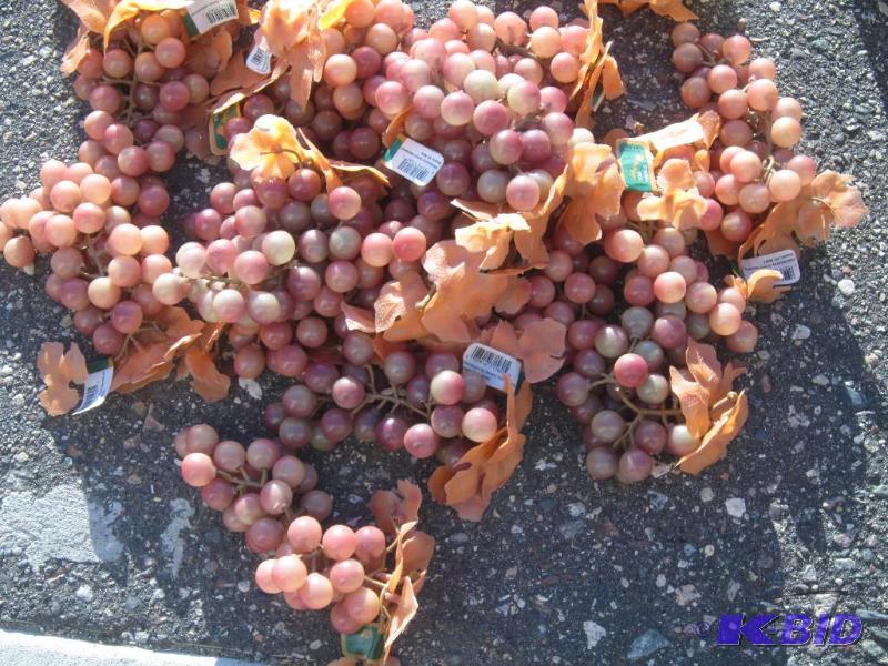 Grapes