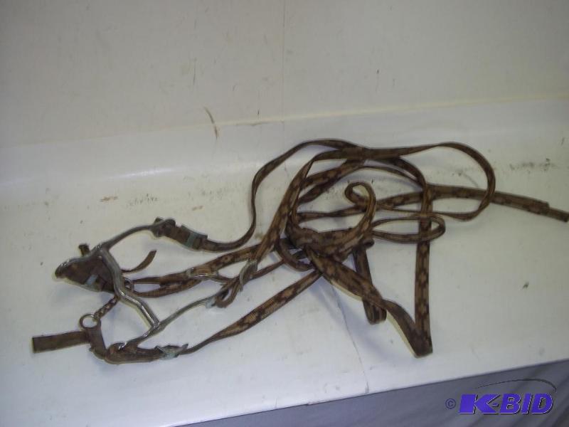 lot 171 image: Horse Bridle