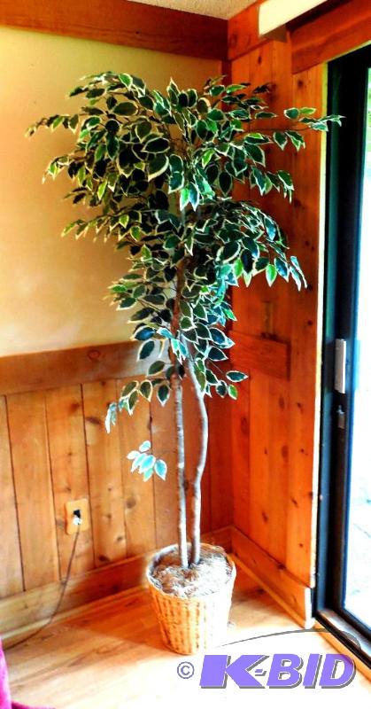 lot 49 image: Tall 6 Ft Artificial Ficus Tree Potted with Basket Planter