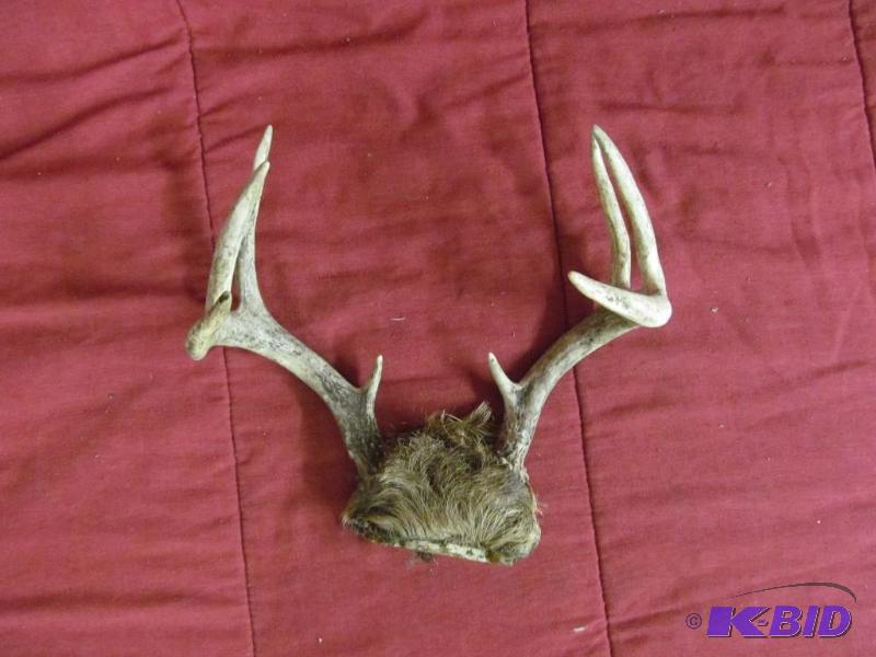 Antlers