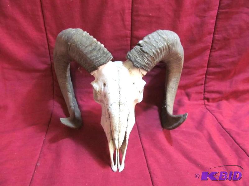 Ram mount