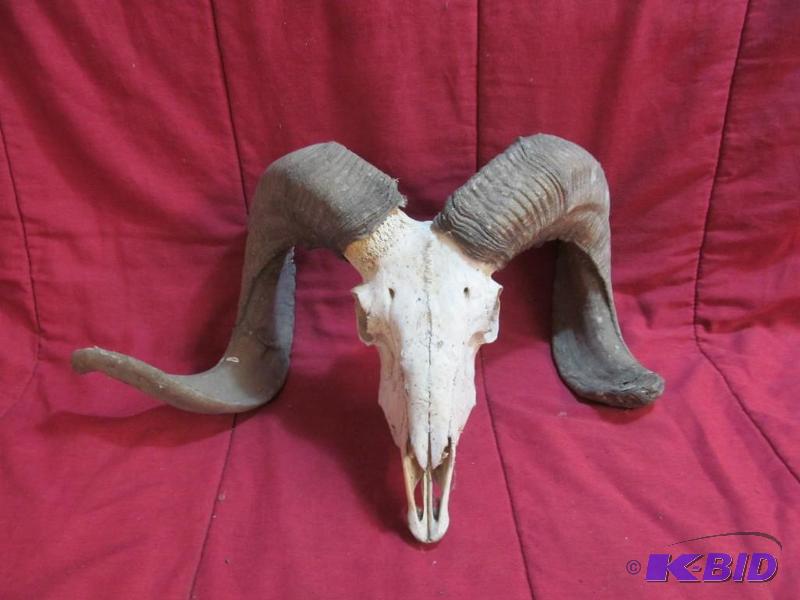 Ram mount