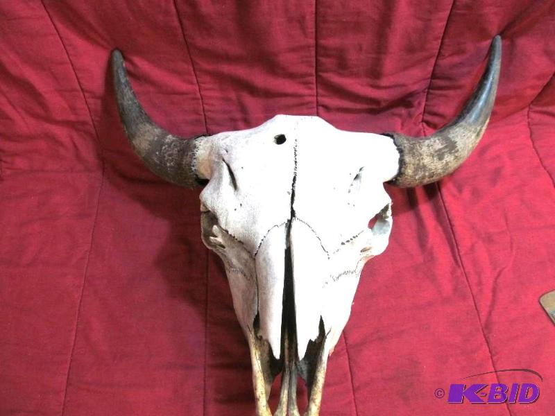 steer mount