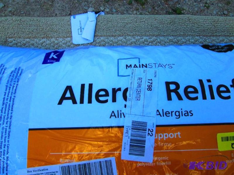 lot 24 image: Allergy relief 20 x 36 inch pillow...