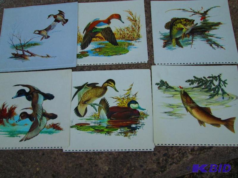 Set of raised plastic wildlife pictures...