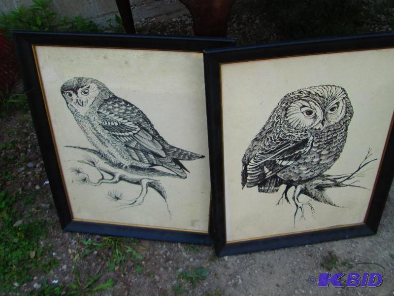 Owl Prints...
