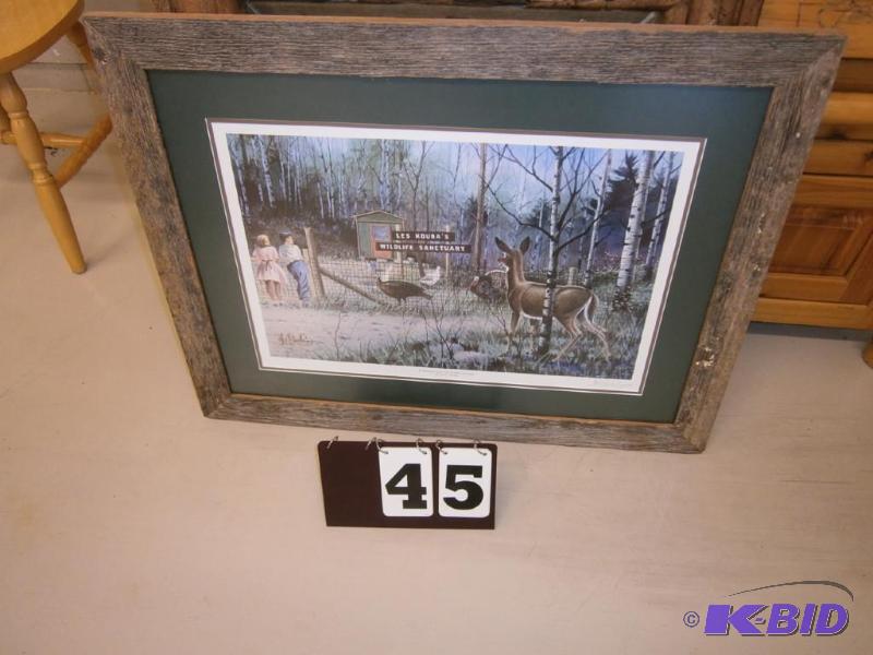 &quotA Whitetail Visits the Wildlife Sanctua...