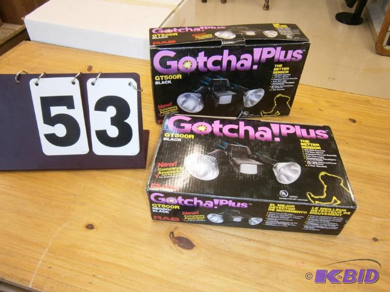 Gotcha Plus motion detectors (2), lights....