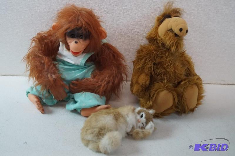 Toys & Taxidermy