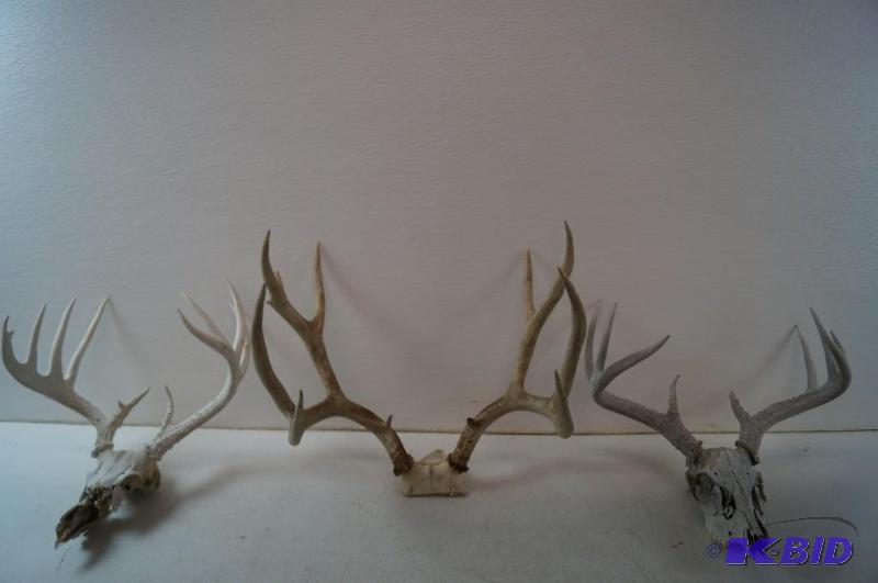 Antlers