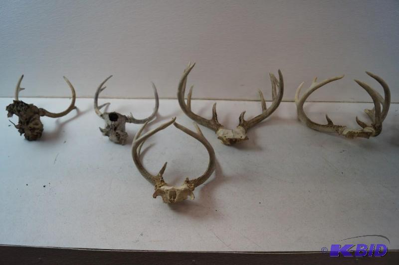 Antlers