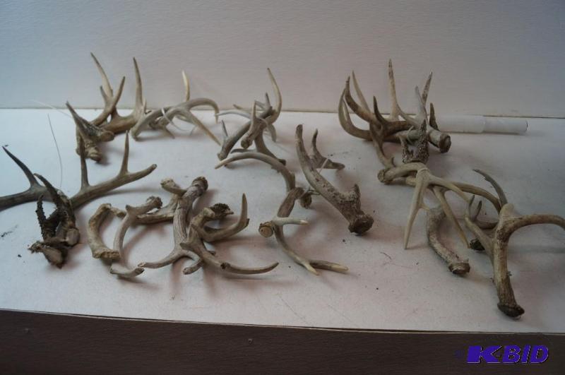 Antlers