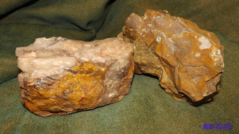 Agatized Wood