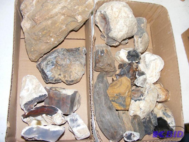 Petrified Wood and Brazilian Agate