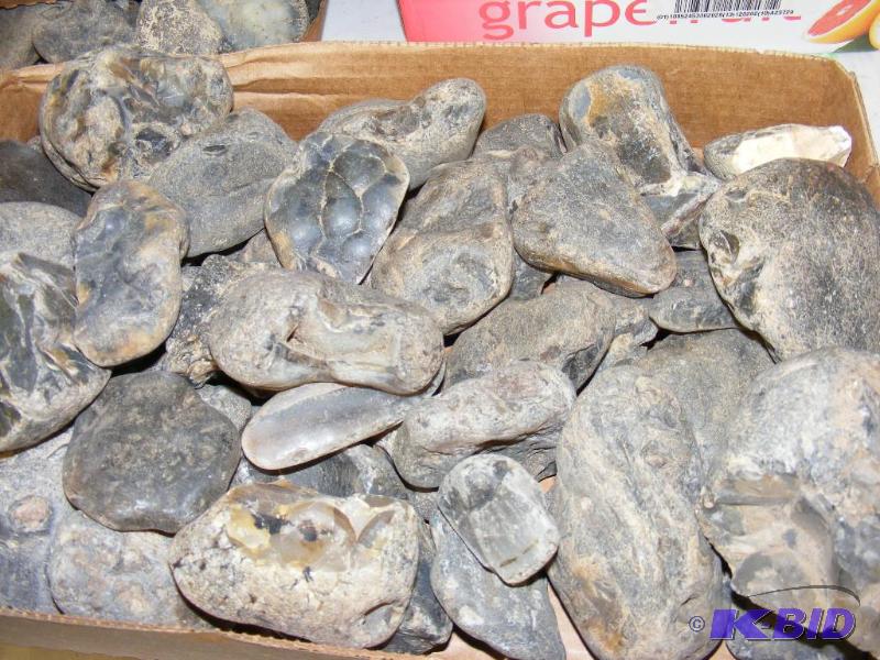 Montana Agate