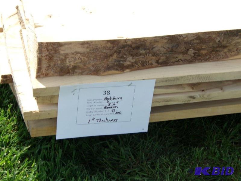 lot 38 image: Hackberry
