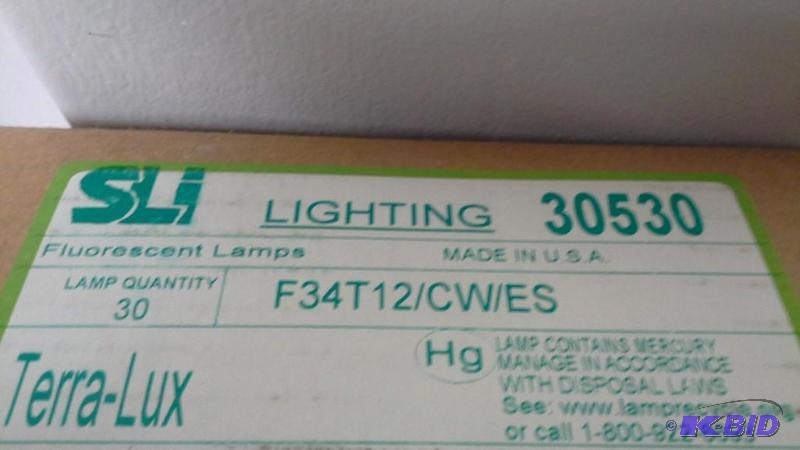 Light bulbs