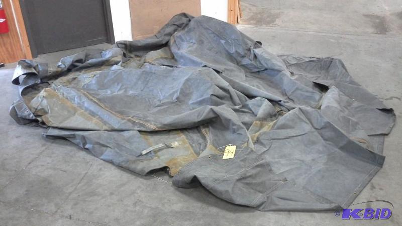 Tarp