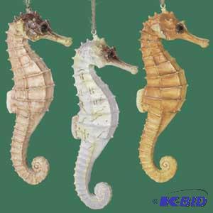 7 Seascape Sea Horse x3