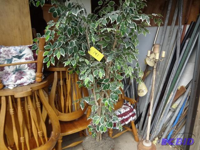 lot 141 image: Fake Ficas Tree, requires no sun or water...