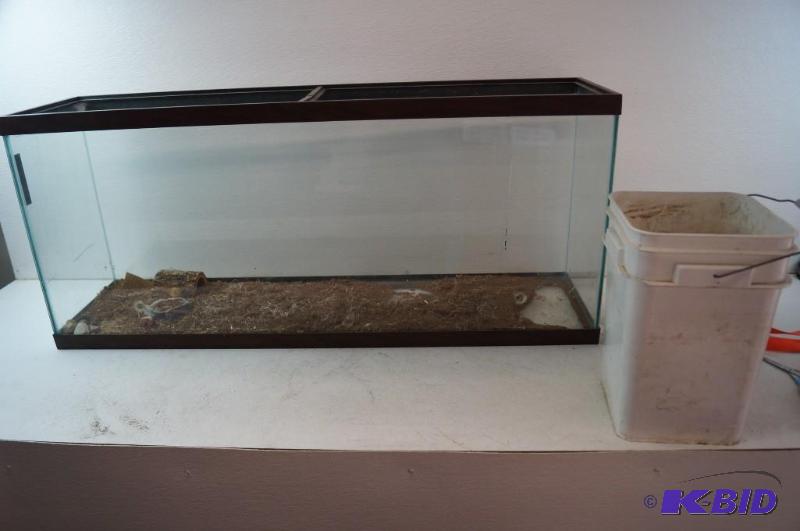 50 Gallon aquarium and colored rock
