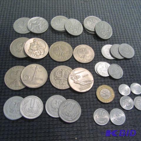 Polish Coins