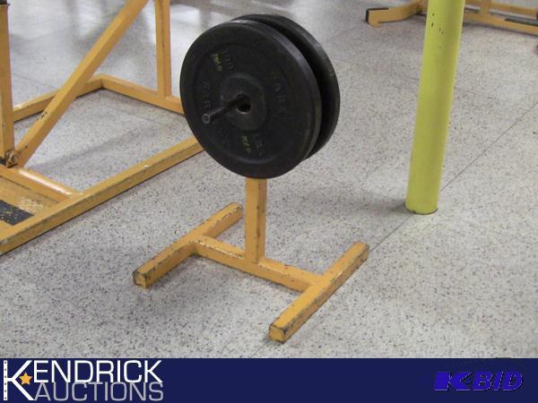 lot 116 image: Weight Tree of 2 - 100 LB York Plate Weights