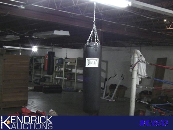 lot 176 image: Everlast Heavy Bag