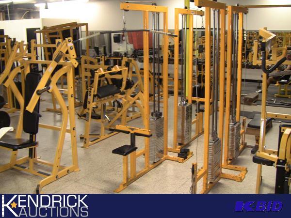 lot 48 image: Infinity 250 LBs Lat Pull