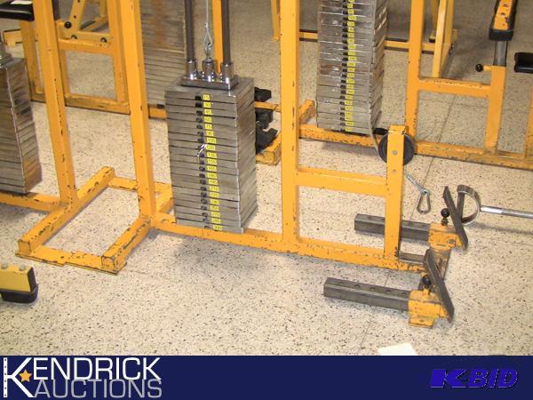 lot 51 image: Infinity 300 LBs Seated Cable Row