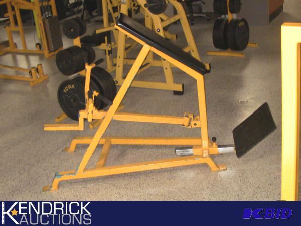 lot 54 image: Chest Supported Row
