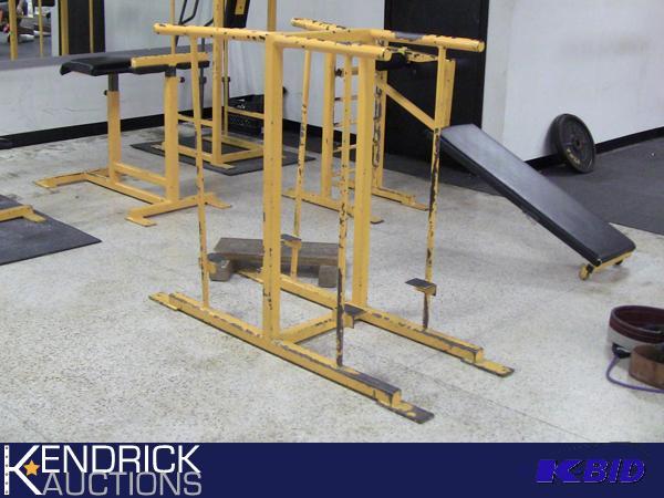 lot 84 image: Free Weight Dip Cage