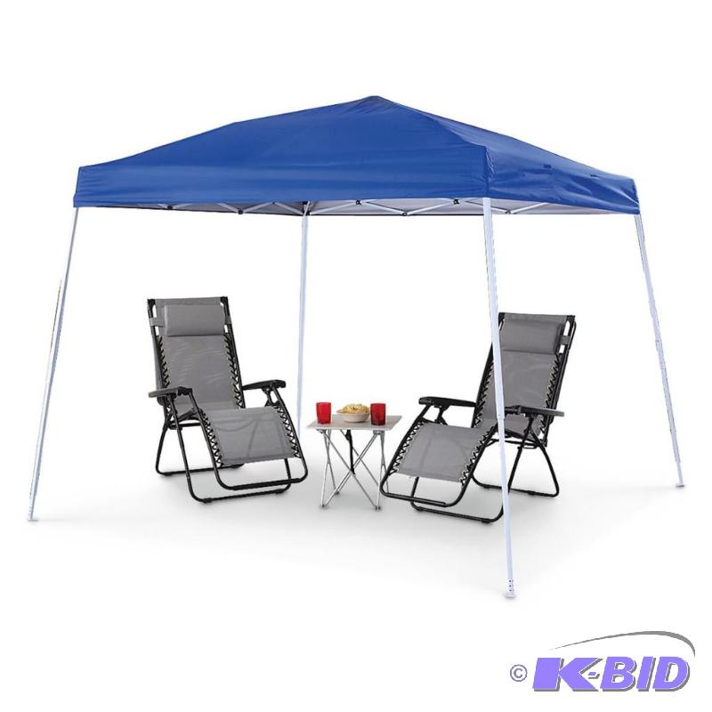lot 4 image: 10x10 foot Instant Canopy, polyester roof wit...