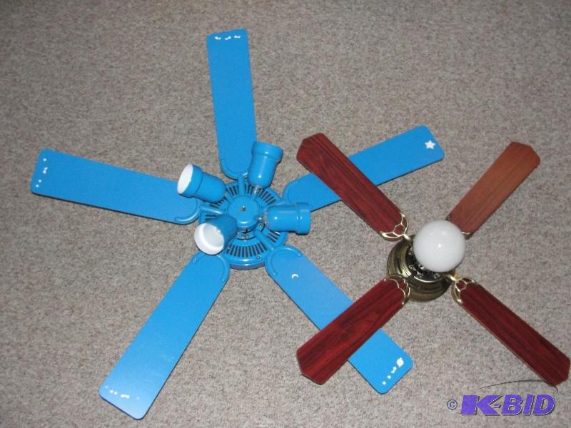 lot 8 image: fans