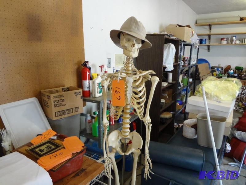 lot 169 image: Smokey, Skeleton, one spoke of pedestal needs...