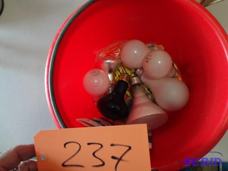 lot 237 image: Lot of Bulbs...