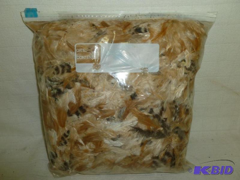 lot 185 image: Large one gallon bag of fly fishing feathers....