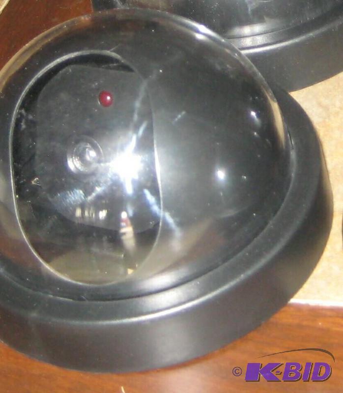 lot 005 image: Faux Security Camera Bubble