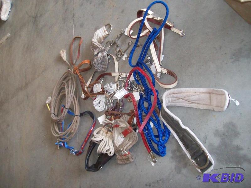 Horse Gear