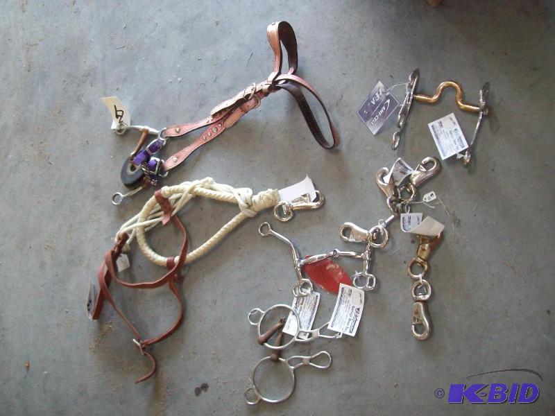 Horse Gear