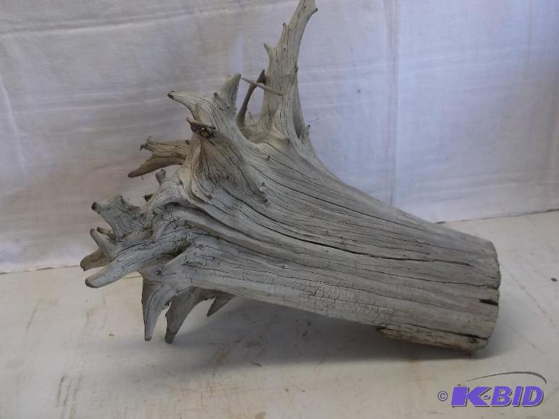 lot 105 image: Nice piece of Driftwood measuring about 14&qu...