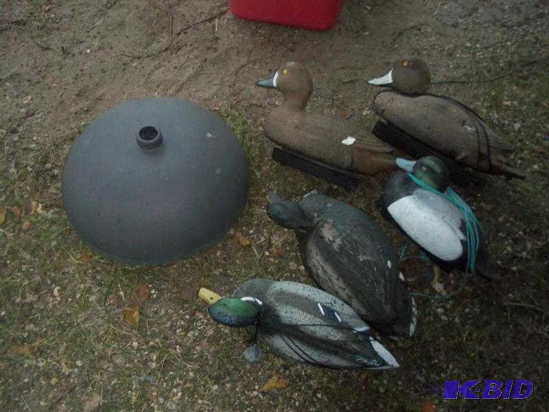 lot 123 image: 5 duck decoys and 2 squirrel guards