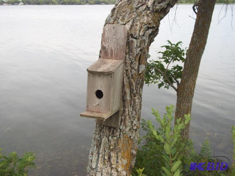 lot 25 image: 6 bird houses (bring tools to remove from trees)