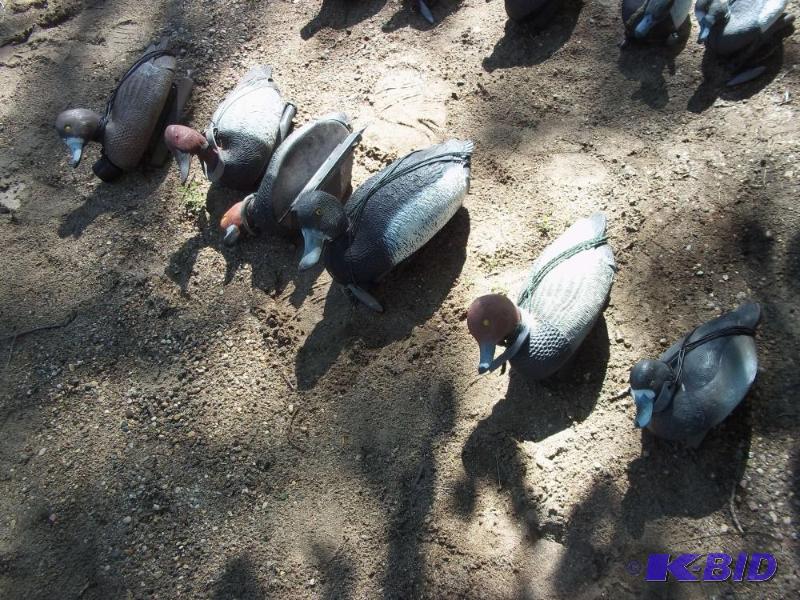 lot 250 image: 6 Duck Decoys