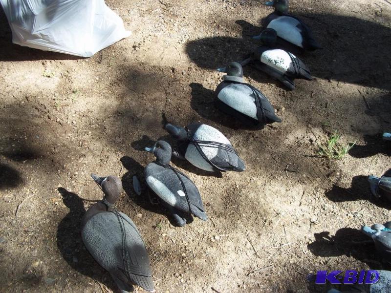 lot 251 image: 6 Duck Decoys